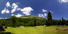 Stezosledci