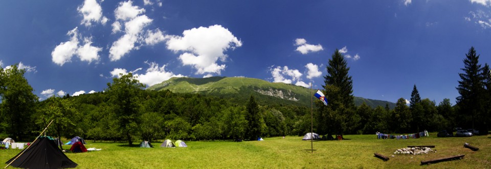 Stezosledci